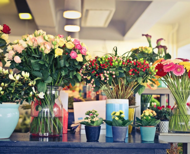 Floristería Completa: Conviértete en un Experto y Maximiza tus Ganancias